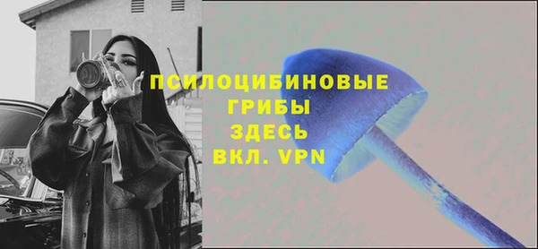 дмт Покров