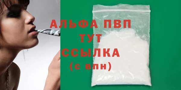 спайс Богданович