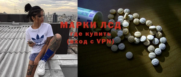 сатива Белокуриха