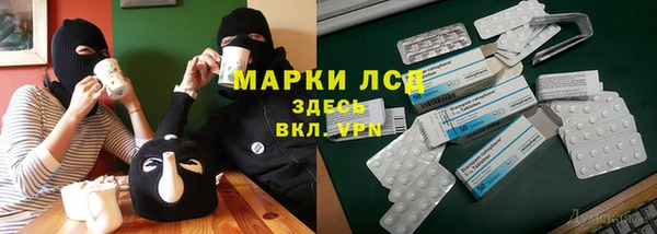 спайс Богданович