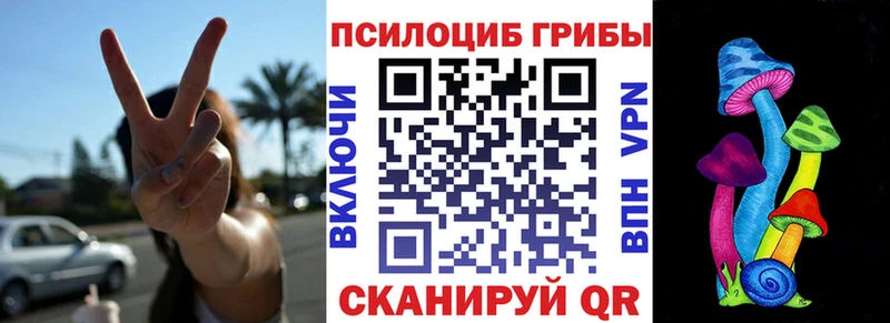 Псилоцибиновые грибы Psilocybine cubensis  как найти   Белоозёрский 